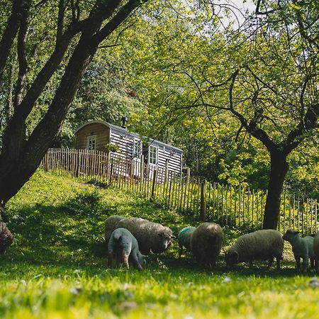 Somerset Shepherds Huts Winsham المظهر الخارجي الصورة